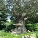 Avatar Grossek