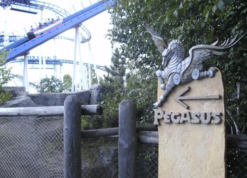 Pegasus Schild