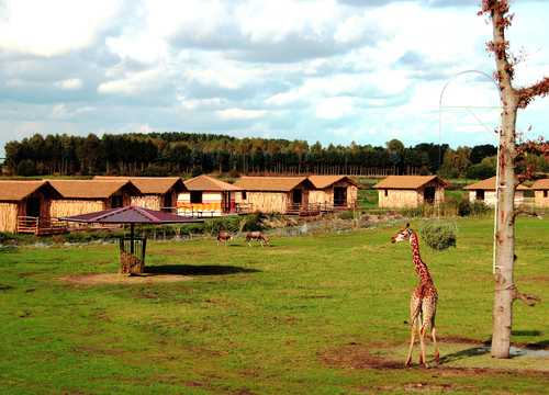 Masai Mara Lodges (Foto: Serengeti-Park)