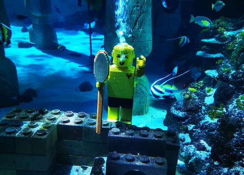 LEGO® Figur unter Wasser