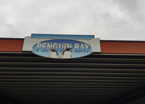 Penguin Bay