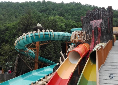 Dino Splash
