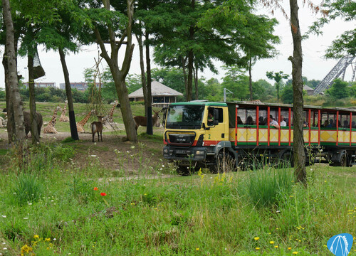 Serenga Safari - Wildlands