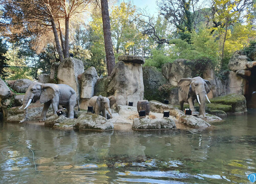 La Jungla (Foto: beatsurfer)