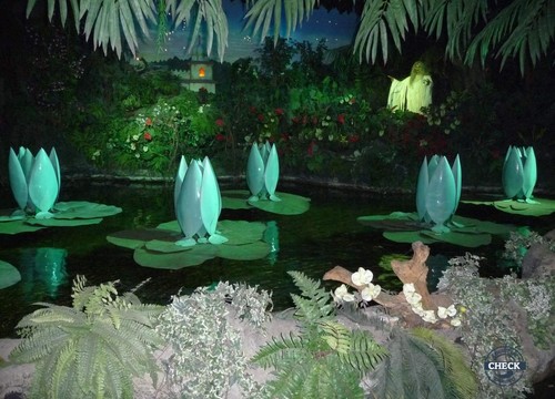 Die indischen Seerosen