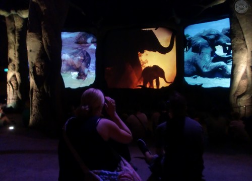 Pandadroom PreShow (2013)