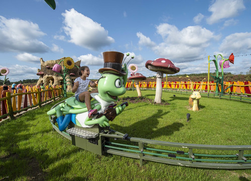 Flip, der Grashüpfer (Foto: Majaland Kownaty)