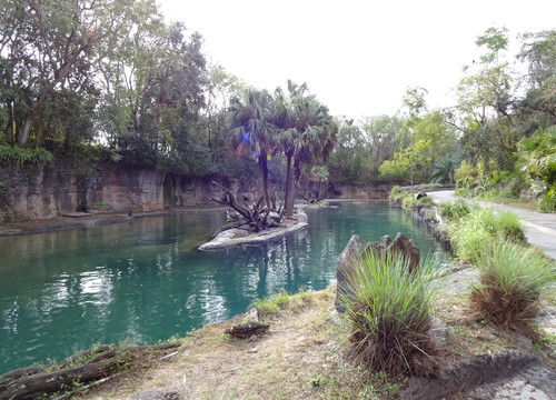 Kilimanjaro Safari