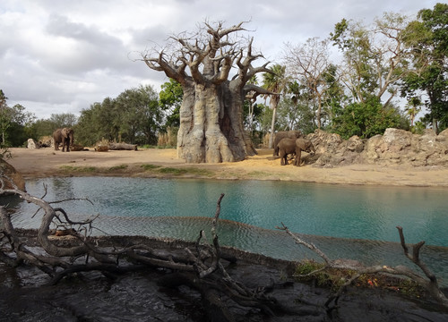 Kilimanjaro Safari