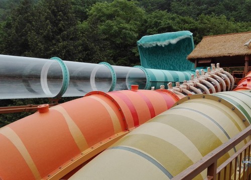 Dino Splash