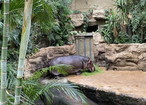 ZOOM Erlebniswelt