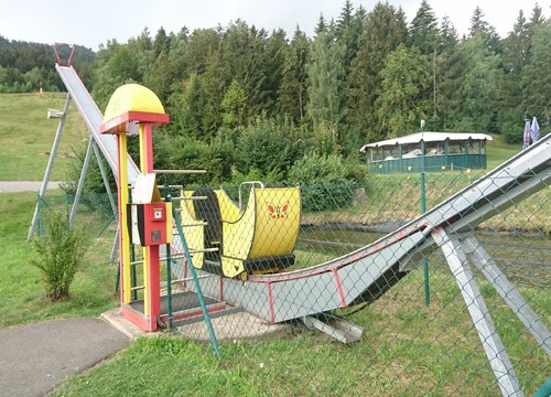 Butterfly mit Seltenheitspunkt in Hohenbogen