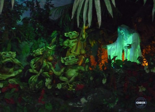 Die indischen Seerosen