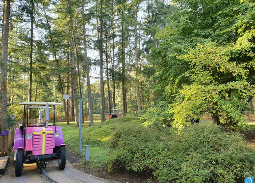 Bleifuß Bahn - Ritter Rost Magic Park (Foto: beatsurfer)