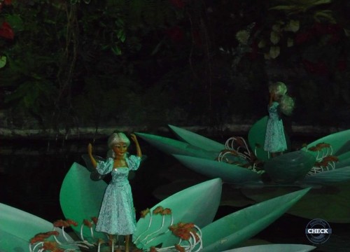 Die indischen Seerosen