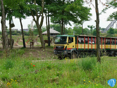 Serenga Safari - Wildlands