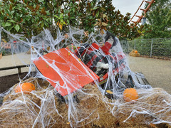 239 Walibi Sud-Ouest, Boomerang, Skelett in Originalwagen