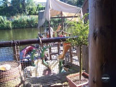 Wözl's Wassertreter