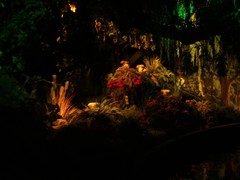 Der Wald von Plop