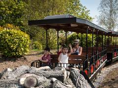 Train Express (Foto: Tayto Park)