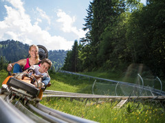 Kolbensattel - Alpine Coaster