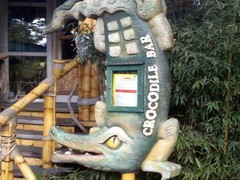 Crocodile Bar