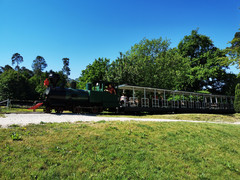 Dampfeisenbahn