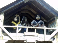 Wildwasserfahrt - Der Wasserwolf