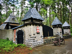 Burg von Dornröschen