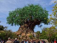 Tree Of Life