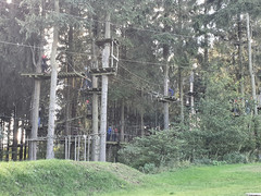Kletterwald