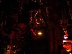 Der Wald von Plop