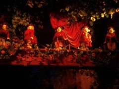 Der Wald von Plop