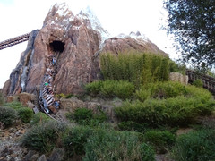 Expedition Everest - Legend Of The Forbidden Mountain