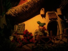 Der Wald von Plop