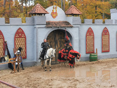 König Harald mit seinem schwarzem Ritter