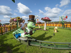 Flip, der Grashüpfer (Foto: Majaland Kownaty)