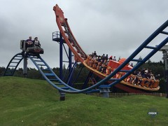 The Cobra & The Edge