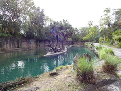 Kilimanjaro Safari