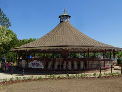 Tea Cups (Foto: Beatsurfer)