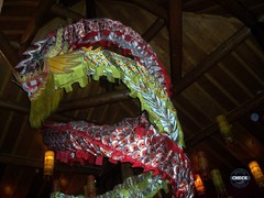 Dragonbar