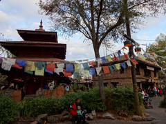 Expedition Everest - Legend Of The Forbidden Mountain