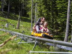 Kolbensattel - Alpine Coaster