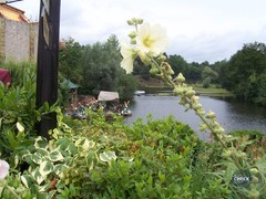 Wözl's Wassertreter