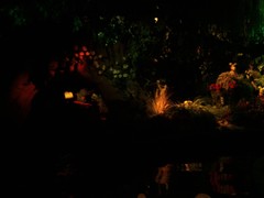 Der Wald von Plop