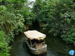 Rimbula River - Wildlands