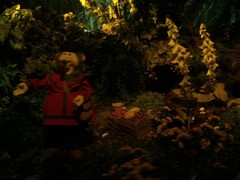 Der Wald von Plop