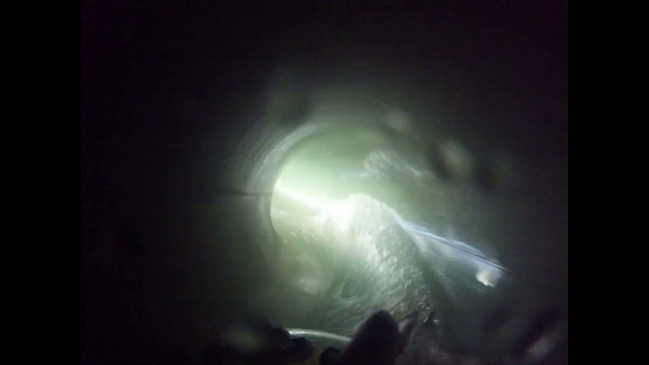 jungle Snakes,Slide 3