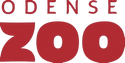 OIP-removebg-preview.png