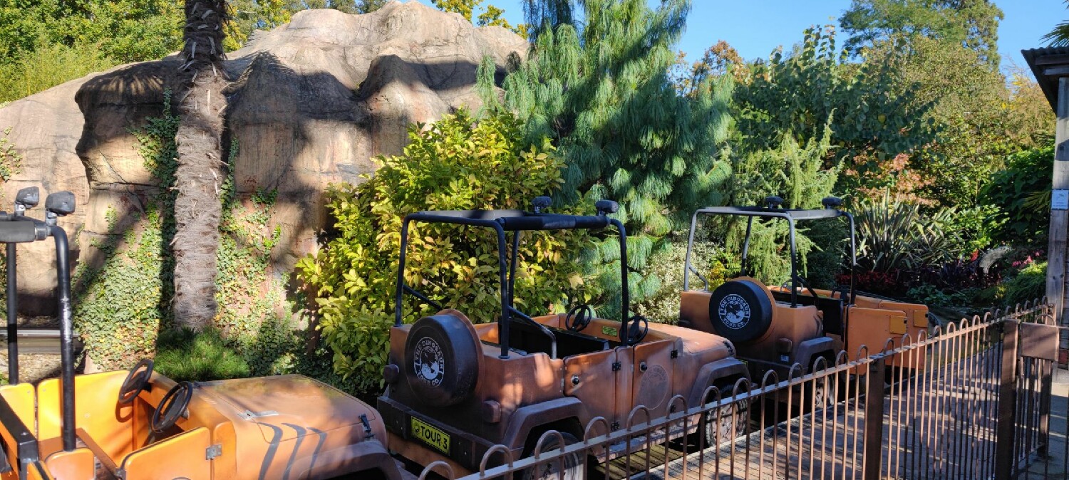 The Dinosaur Tour Co.